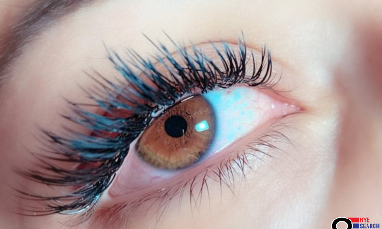 Lash Room Eylash ​Extensions