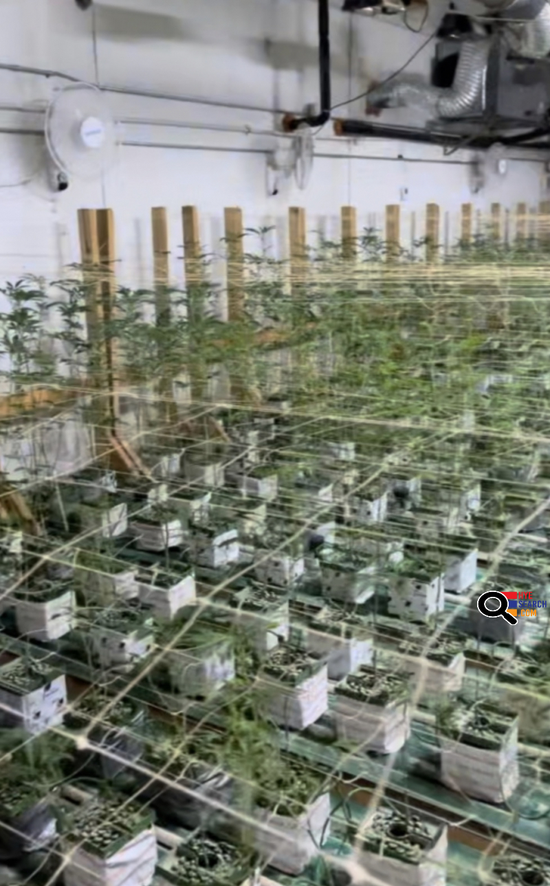 MEDICAL MARIJUANA GROW FACILITY FOR SALE in Lawton, Ok