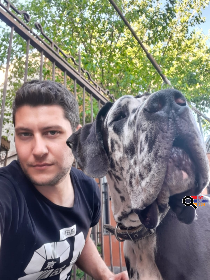  Dogs Training in Los Angeles, CA