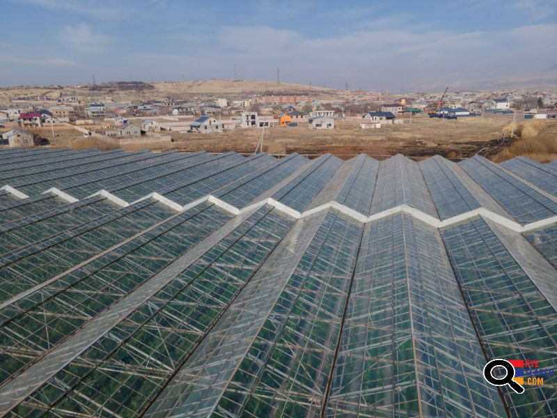  Վաճառվում է գործող ջերմոցներ Աբովյան Արամուս գյուղ տանող ճանապարհի Անկախության 2