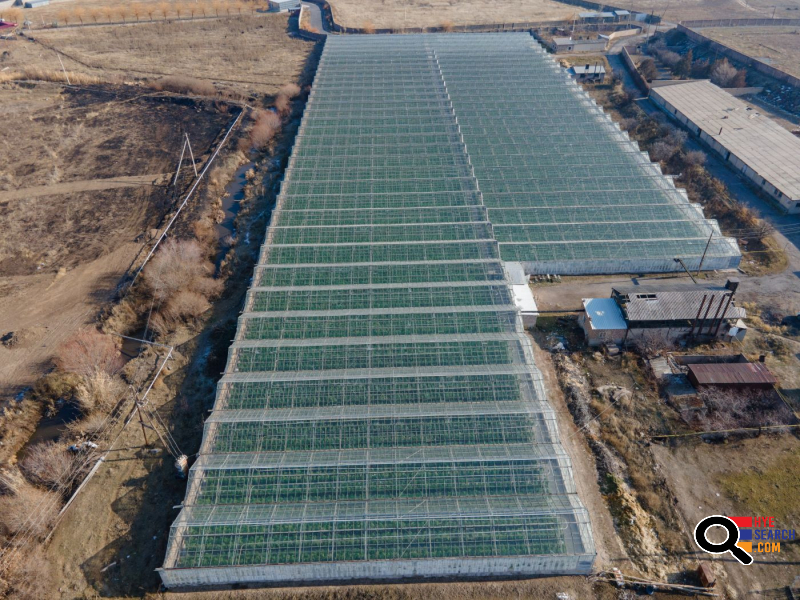  Վաճառվում է գործող ջերմոցներ Աբովյան Արամուս գյուղ տանող ճանապարհի Անկախության 2