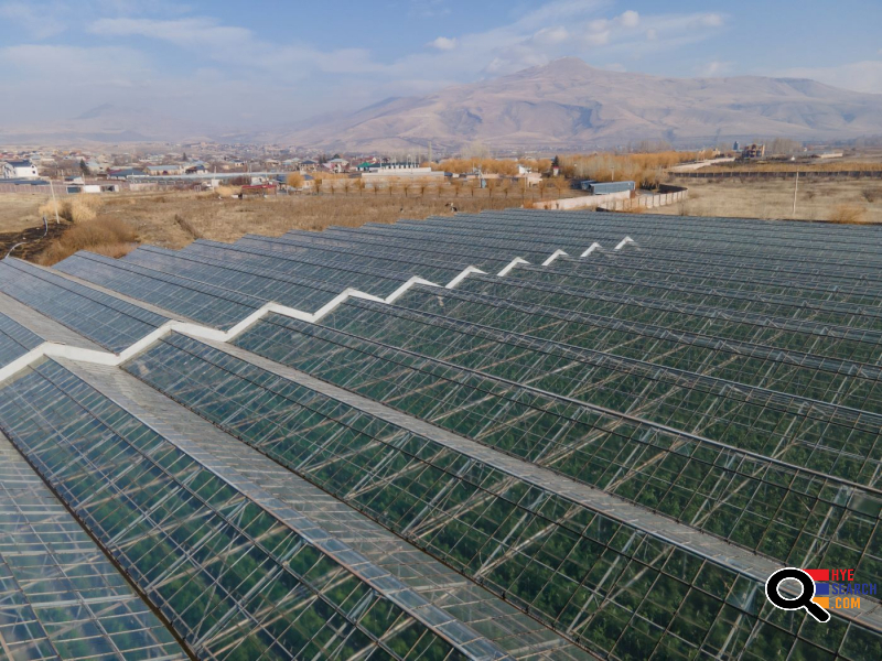  Վաճառվում է գործող ջերմոցներ Աբովյան Արամուս գյուղ տանող ճանապարհի Անկախության 2