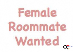 Female Roommate in Glendale, CA 